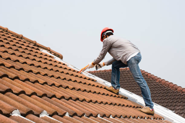 Best Storm Damage Roof Repair  in Rio Bravo, TX