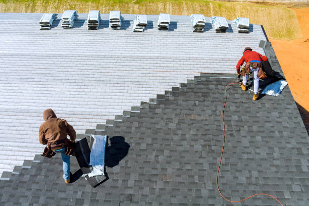 Best Roof Moss and Algae Removal  in Rio Bravo, TX